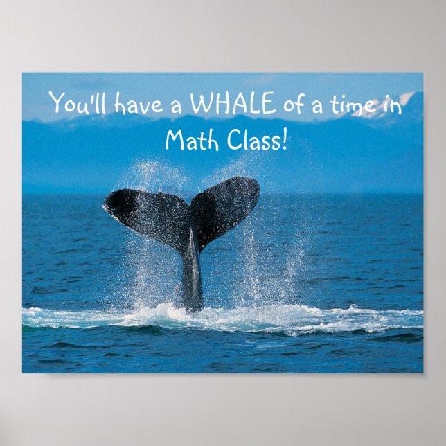 WhaleMath Poster (Framsidan)