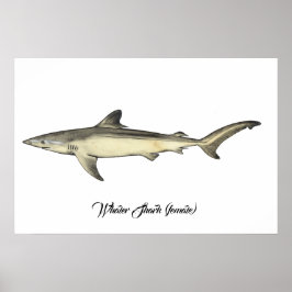 Whaler Shark (hondjur) Poster