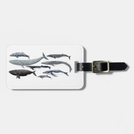 Whales and right whales bagagebricka