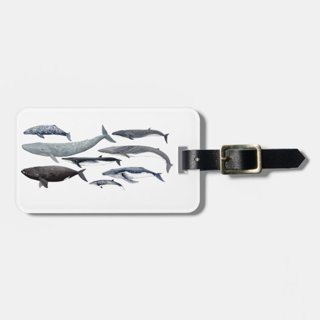 Whales and right whales bagagebricka (Horisontell Framsida)