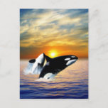 Whales at sunset vykort<br><div class="desc">Cool color whales in sunset ocean waves. Simply beautiful.</div>