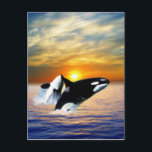 Whales at sunset vykort<br><div class="desc">Cool color whales in sunset ocean waves. Simply beautiful.</div>