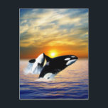Whales at sunset vykort<br><div class="desc">Cool color whales in sunset ocean waves. Simply beautiful.</div>
