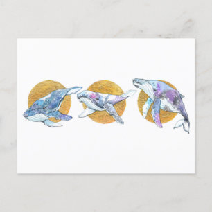 Whales Trio Fly Flyter och Dream A Vykort