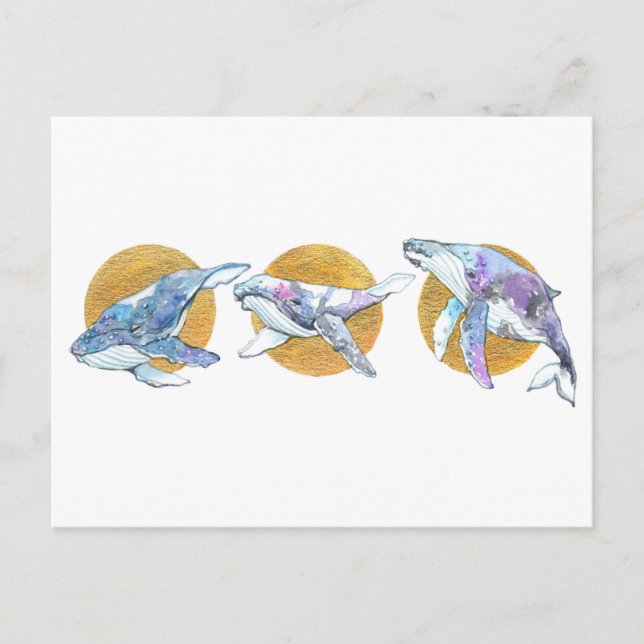 Whales Trio Fly Flyter och Dream A Vykort (Framsida)