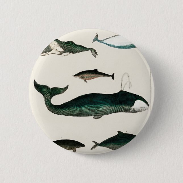 Whales Watercolor | VINLIG ILLUSTRATION Knapp (Framsida)