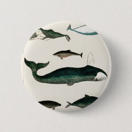 Whales Watercolor | VINLIG ILLUSTRATION Knapp