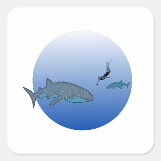 Whaleshark Sticker Fyrkantigt Klistermärke (Framsida)