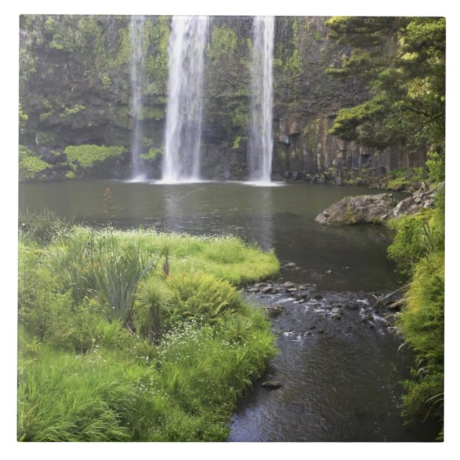 Whangarei Falls, Whangarei, Northland, New 2 Kakelplatta (Framsidan)
