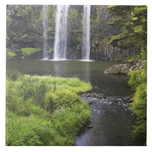 Whangarei Falls, Whangarei, Northland, Nya 2 Kakelplatta