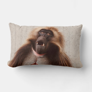 What’s going on lumbarkudde