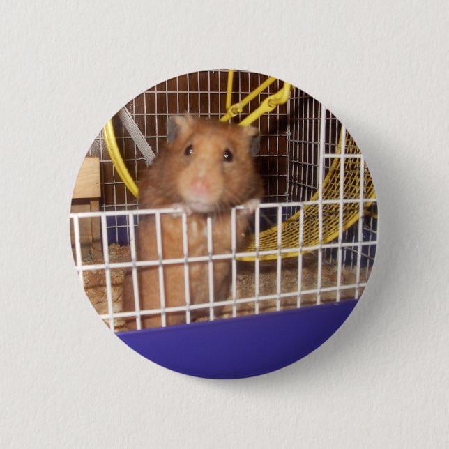 whatcalookin på knapp (Framsida)