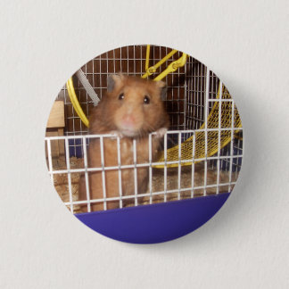 whatcalookin på knapp