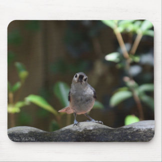 Whatcha Doin Musmatta