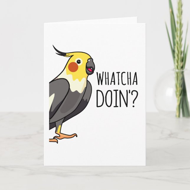 Whatcha Doin Parrot bevakar dig Kort (Framsida)
