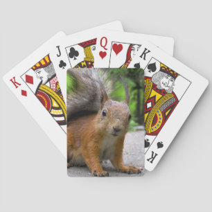 Whatcha har? spelkort