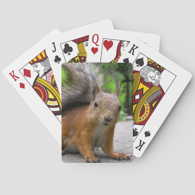 Whatcha har? spelkort (Baksidan)