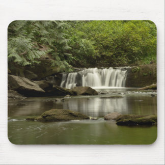 Whatcom Falls Park Musmatta