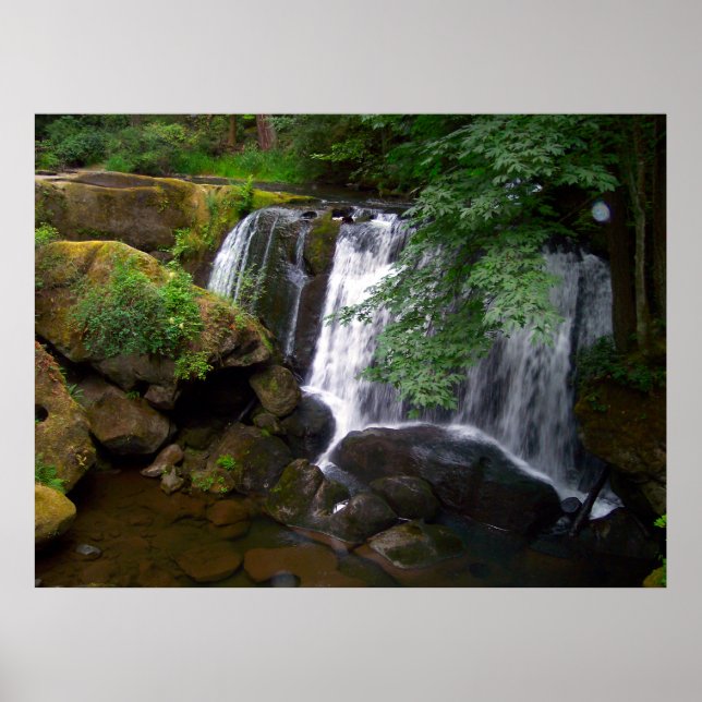 Whatcom Falls Poster (Framsidan)