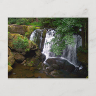 Whatcom Falls Vykort
