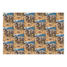 Whatcom län utomhus