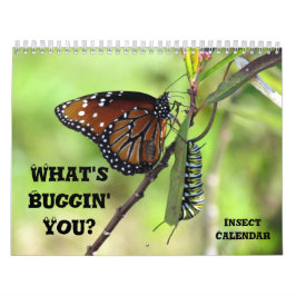 What's Buggin'er - Insekt Calendar - Edition 1 Kalender