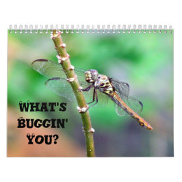 What's Buggin'You - Insekt Calendar Edition 2 Kalender