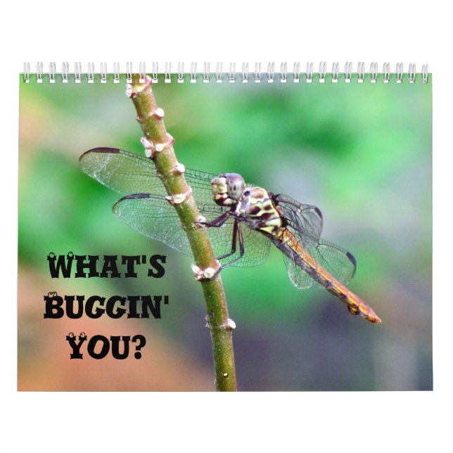 What's Buggin'You - Insekt Calendar Edition 2 Kalender (Omslag)