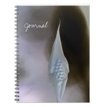 What's Inside Spiral Photo Notebook
