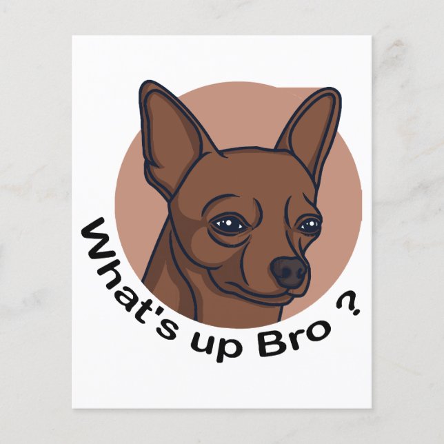 What's Up Bro Chihuahua, Funny Quote Hund (Framsida)