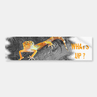 What's up? Gecko, leopard gecko, Bildekal
