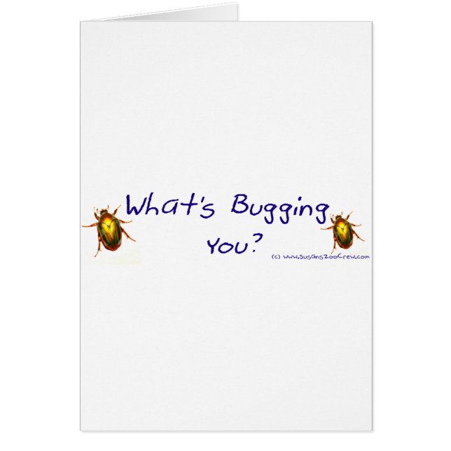 WhatsBuggingYouBumperSticker Hälsningskort (Framsidan)