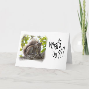WhatsUp_notecard Kort