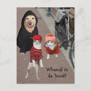 Whazup in da 'huva? vykort