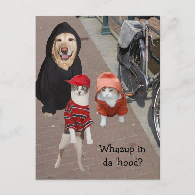 Whazup in da 'huva? vykort (Framsida)