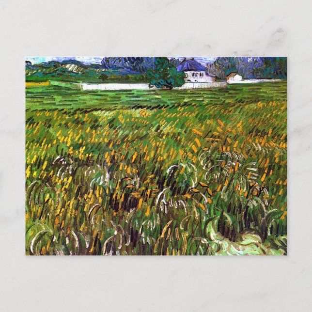 Wheat Fält Auvers, White House Van Gogh Fine Art Vykort (Framsida)