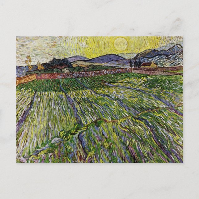 Wheat Fält av Van Gogh Vykort (Framsida)