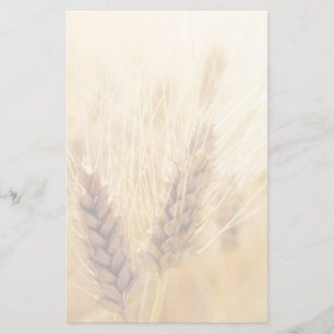 Wheat fält brevpapper