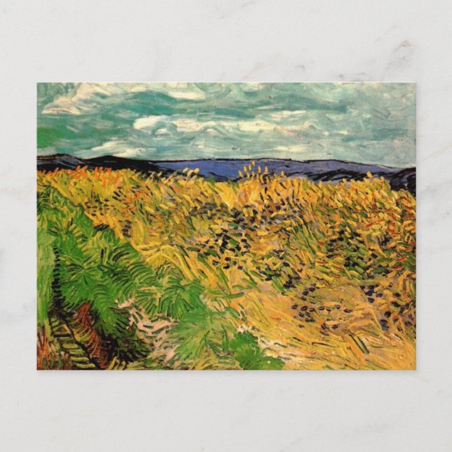 Wheat Fält med Cornblommor av Vincent van Gogh Vykort (Framsida)
