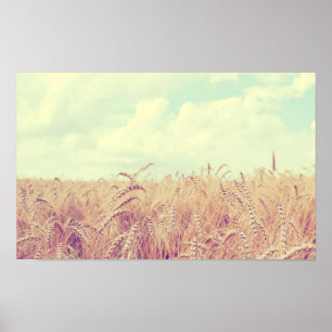 Wheat fält poster