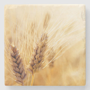 Wheat fält underlägg sten
