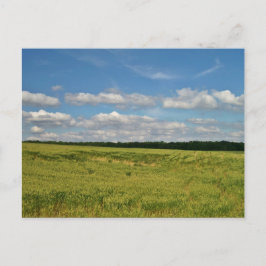 Wheat Fält Vykort