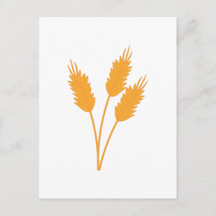 Wheat Stalk Vykort