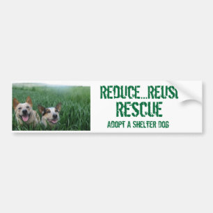 Wheatdogs Bildekal