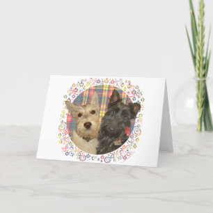 Wheaten & Black Scotties på Tartan Helgkort