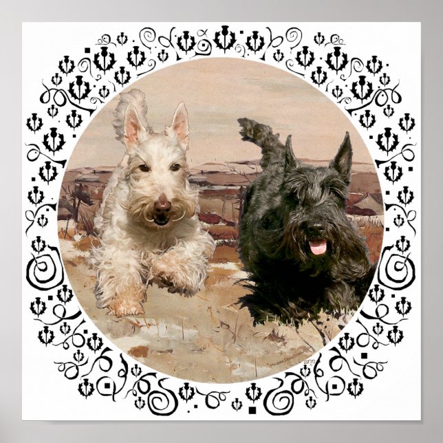 Wheaten & Black Scotties Running Poster (Framsidan)