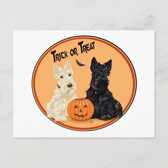 Wheaten & Black Scottish Terriers Halloween Vykort (Framsida)
