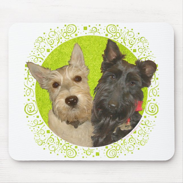 Wheaten & Black Scottish Terriers Musmatta (Framsidan)