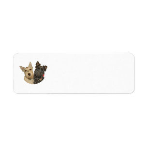 Wheaten & Black Scottish Terriers Returadress Etikett