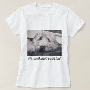Wheaten hälsning tee